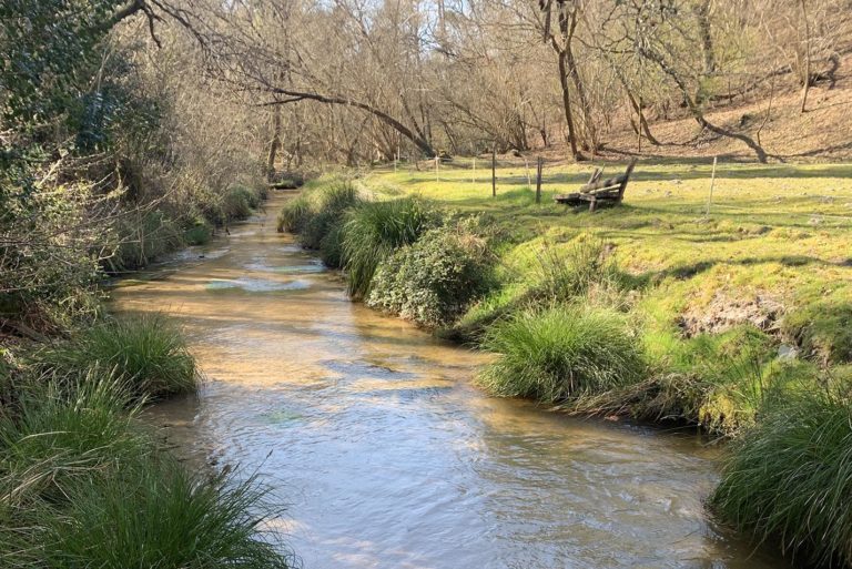 Photo du ruisseau le Coulin dans les Landes.