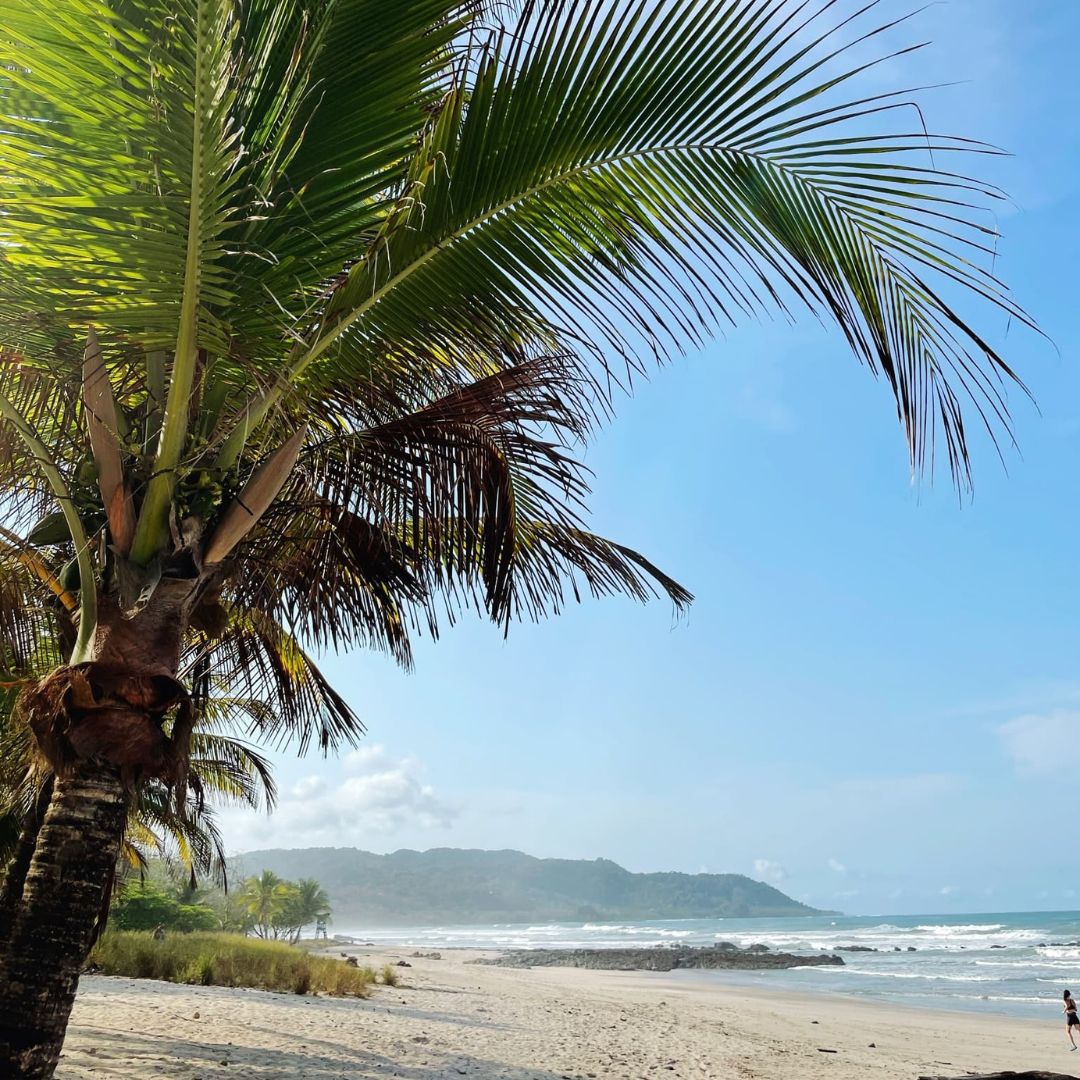 Photo d'une plage et cocotiers au Costa Rica.