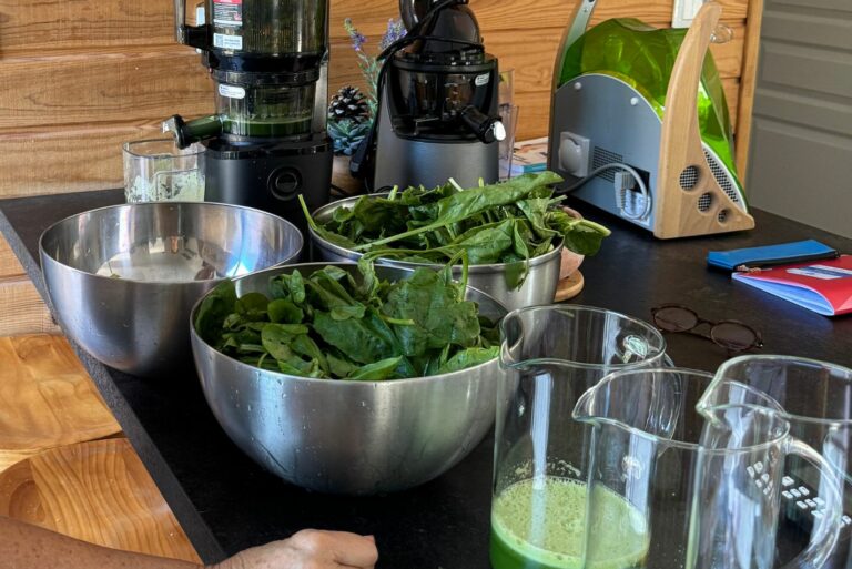 Photo de la préparation de jus de légumes verts avec une extracteur.